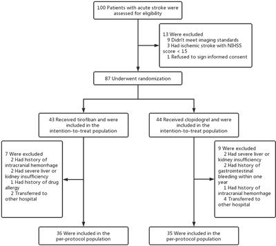 Safety and efficacy of low-dose and long-course tirofiban in large hemispheric infarction